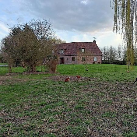 Les Chambres D'Hotes Du Vert Galant " L'Allee Des Champs" Verlinghem エクステリア 写真