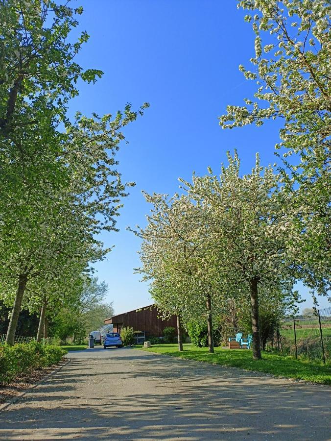Les Chambres D'Hotes Du Vert Galant " L'Allee Des Champs" Verlinghem エクステリア 写真