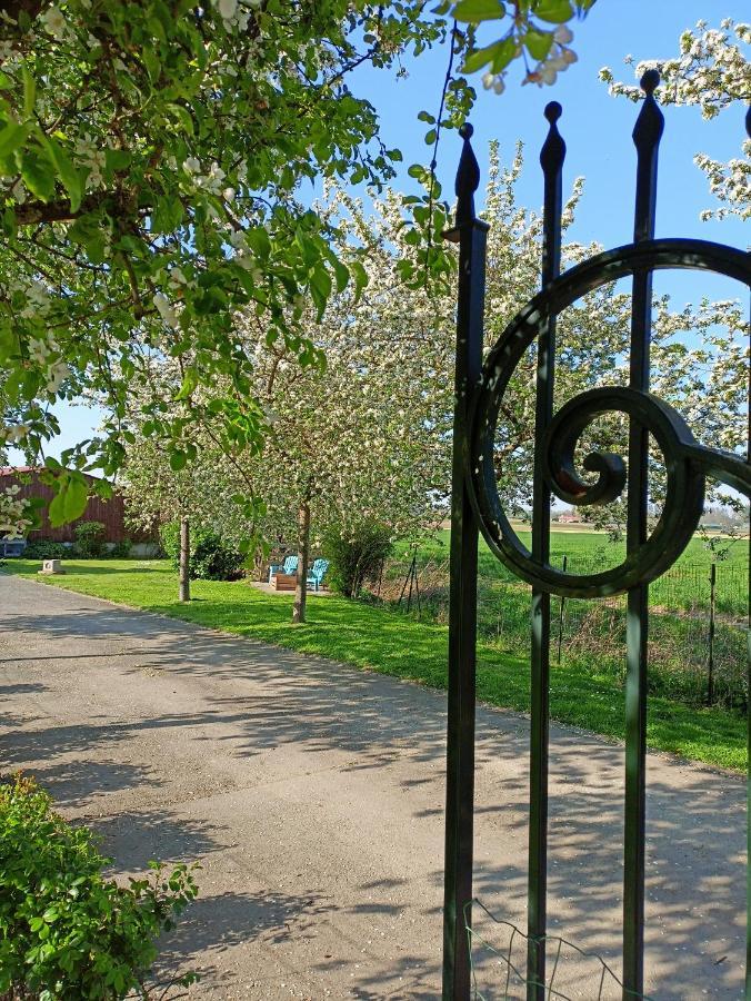 Les Chambres D'Hotes Du Vert Galant " L'Allee Des Champs" Verlinghem エクステリア 写真